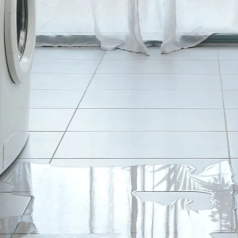 Appliance Leak Cleanup in Tracy, MN