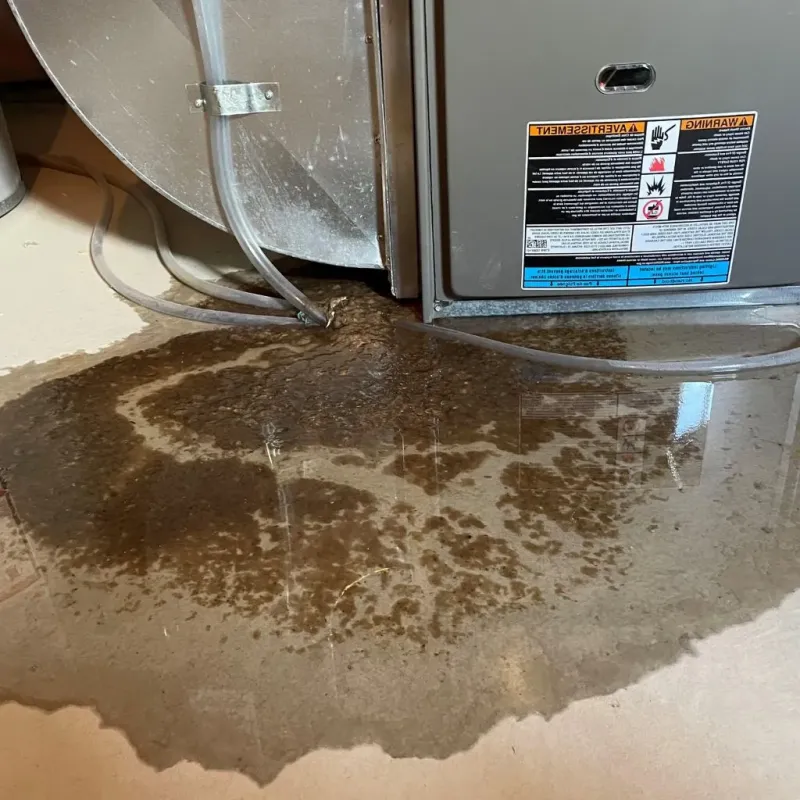 Pipe Burst and Leak Restoration in Tracy, MN